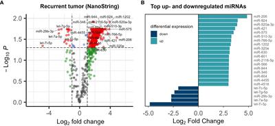 Unraveling the MicroRNA tapestry: exploring the molecular dynamics of locoregional recurrent rectal cancer